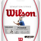 A set of Wilson Sensation Strike 17 Squash String available for sale at GSM Sports.  