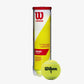 The Wilson Championship Extra Duty 4 Ball Can available for sale at GSM Sports.   